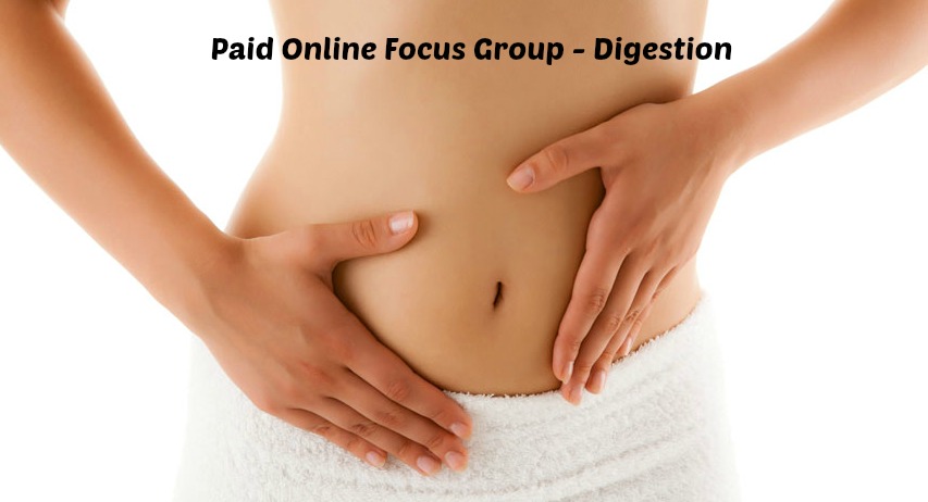 Paid Online Focus Group – Digestion